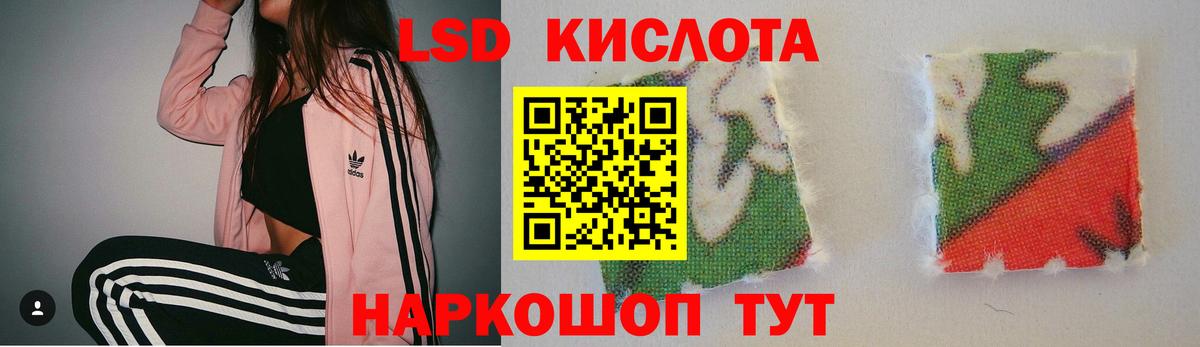 A PVP Клинцы
